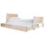 Sparrow Trundle Bed Birch - Oeuf NYC